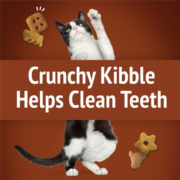 Friskies Party Mix Wild West Crunch Cat Treats (2.1 oz) - Cat Treats 5