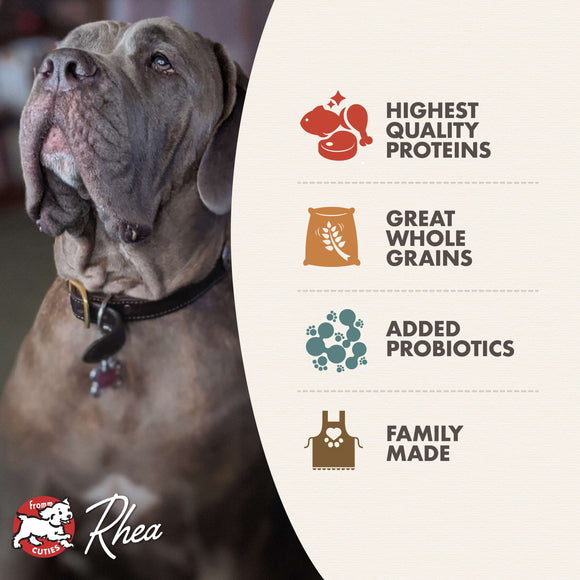 Dog with Rhea pet food packaging highlighting quality proteins, whole grains, probiotics, and family-made aspect.
