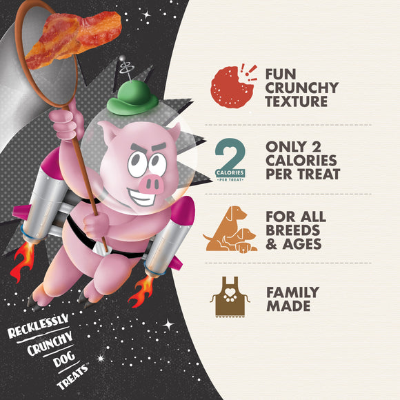 Cartoon pig with rocket boots holding bacon, surrounded by text about dog treats.