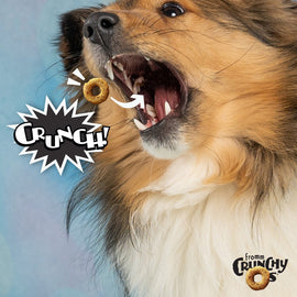 Dog with open mouth, donut in mouth, and 'Crunch!' text on a blue gradient background