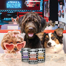 Three dogs in a diner setting with 'Fromm Diner' cans on the table.