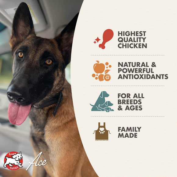 Dog with a brand advertisement highlighting product features on a white background