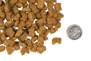 Fromm Four Star Lamb & Lentil Recipe Dog Food - Dry Dog Food 2