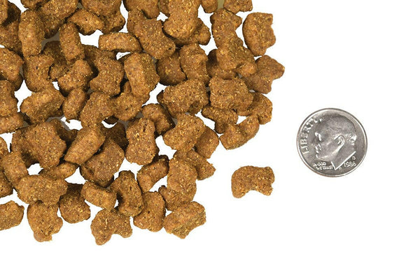 Fromm Four Star Lamb & Lentil Recipe Dog Food - Dry Dog Food 2