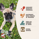 Dog lying on grass with a Pugsy pet food product label in the background