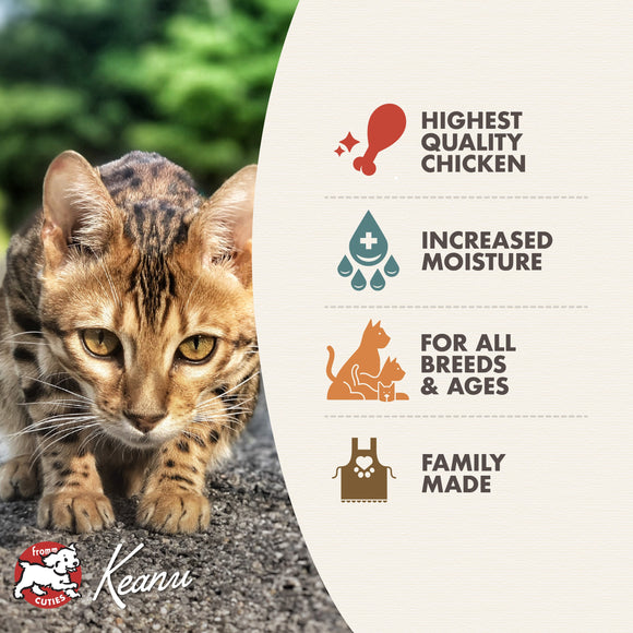 Cat on a stone surface with Keanu pet food packaging featuring product benefits.