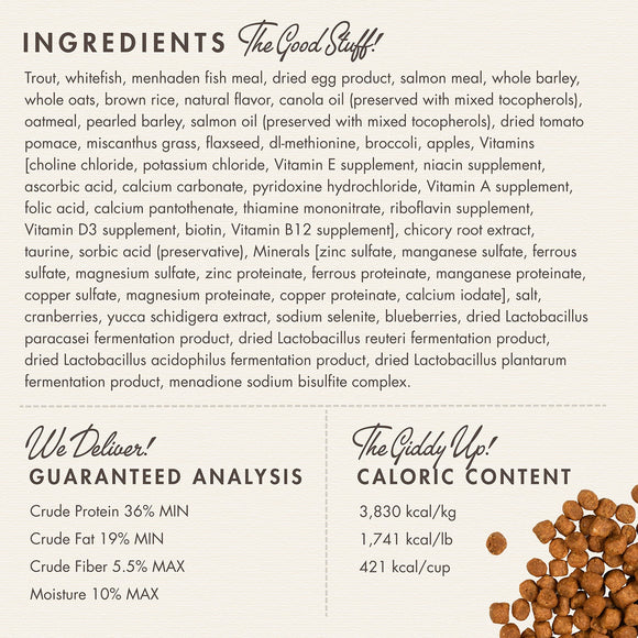 Dog food ingredient list and nutritional information on a white background