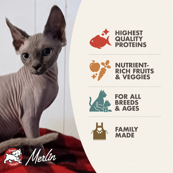 Cat with Merlin pet food packaging highlighting quality, nutrition, and family-made aspects.