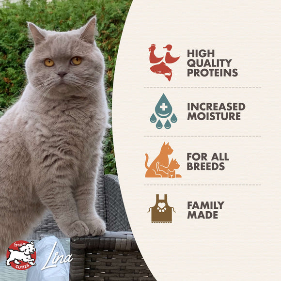 Gray cat sitting outdoors with a product label about high-quality proteins, increased moisture, and family-made production.