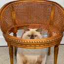 Cat peeking out from behind a wicker chair