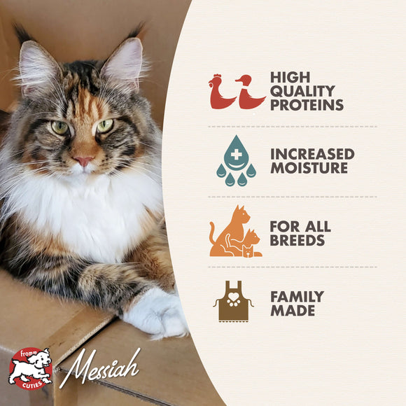 Cat lying on a cardboard box with product features listed on the right, including 'High Quality Proteins', 'Increased Moisture', 'For All Breeds', and 'Family Made'.