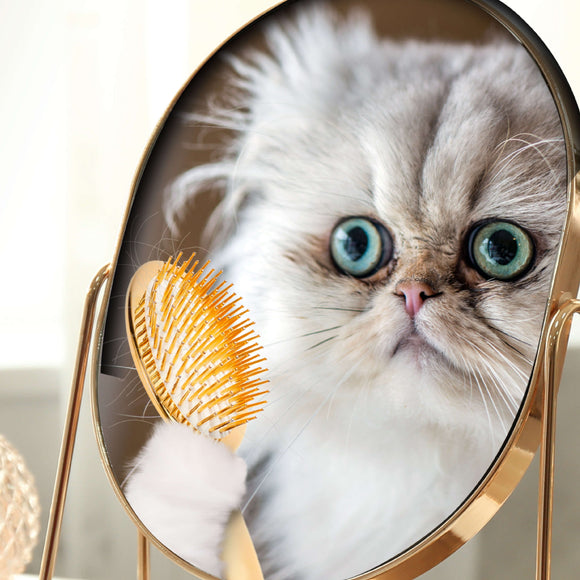 Cat grooming tool with a round mirror featuring a cat's face on a blurred background
