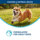 Dog running on grass with text about a chicken and oatmeal recipe for adult dogs.