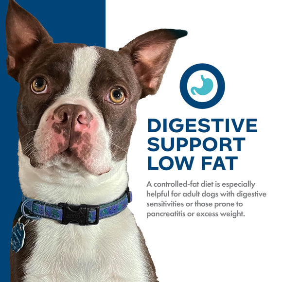 Dog with a blue and white background and text about digestive support and low fat diet.