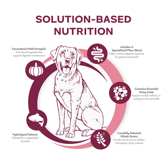 Diagram of a dog with text about solution-based nutrition on a white background