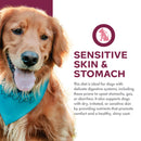 Dog with a blue bandana wearing a diet label for sensitive skin and stomach.