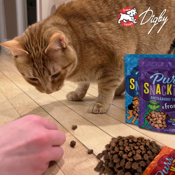 Cat sniffing cat food on a wooden floor with Digby pet food packaging in the background.