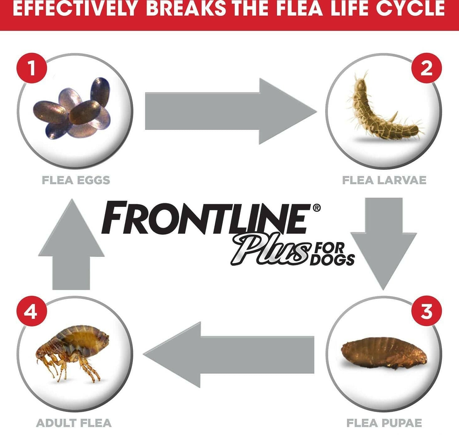 Frontline Plus Flea & Tick Protection for XL Dogs, 89-132 lbs