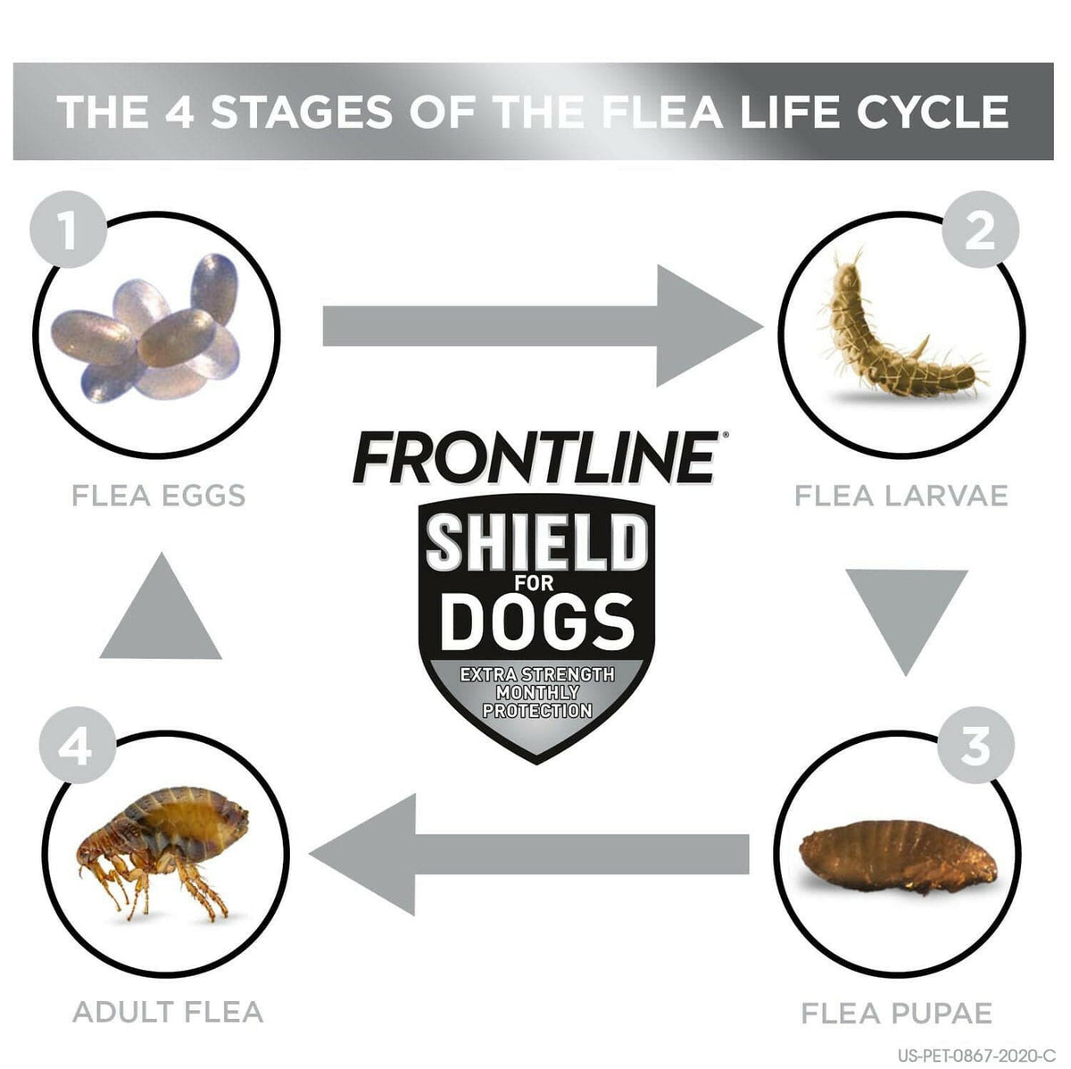 Frontline Flea & Tick Shield for Dogs | 41-80 lbs | Hardypaw