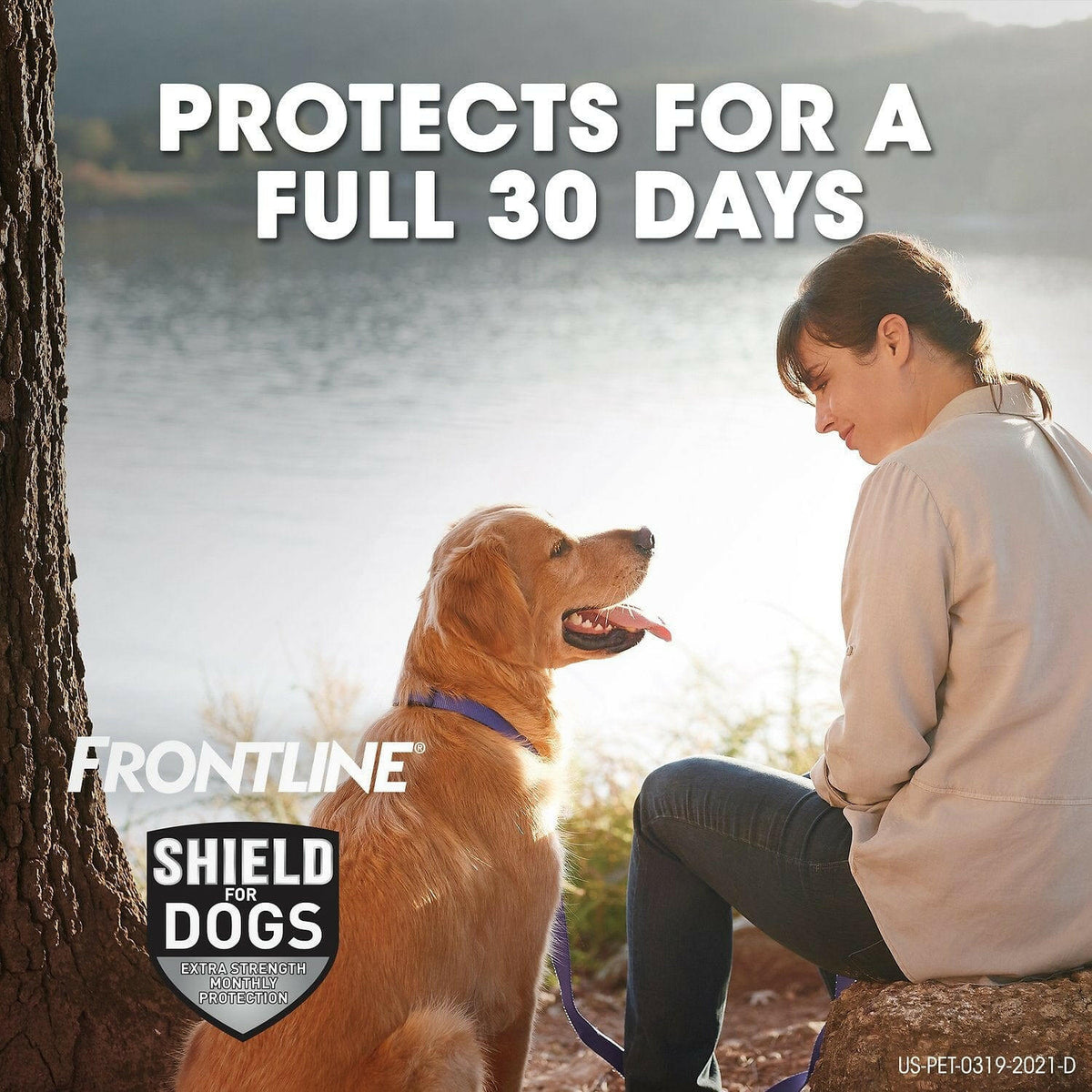 Frontline Flea & Tick Shield for Dogs | 41-80 lbs | Hardypaw