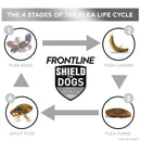 Frontline Shield for Medium Dogs (21-40 lbs)
