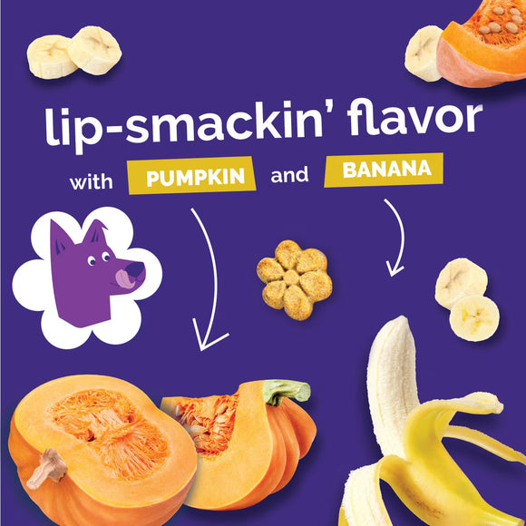 Fruitables Dog Treats Pumpkin & Banana Flavor (7 oz) - Dog Biscuits & Crunchy Treats 4