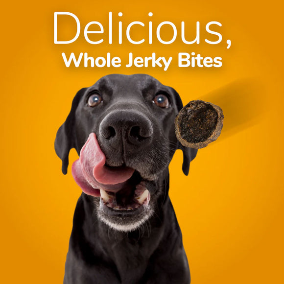 Fruitables Grilled Bison & Apple Whole Jerky Bites