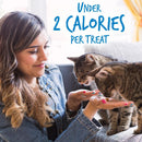 Fruitables Limited Ingredient Chicken with Blueberry Crunchy Treats For Cats