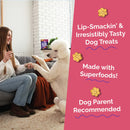 Fruitables Pumpkin & Apple Flavor Baked Dog Treats (7 oz) - Soft & Chewy Dog Treats 5