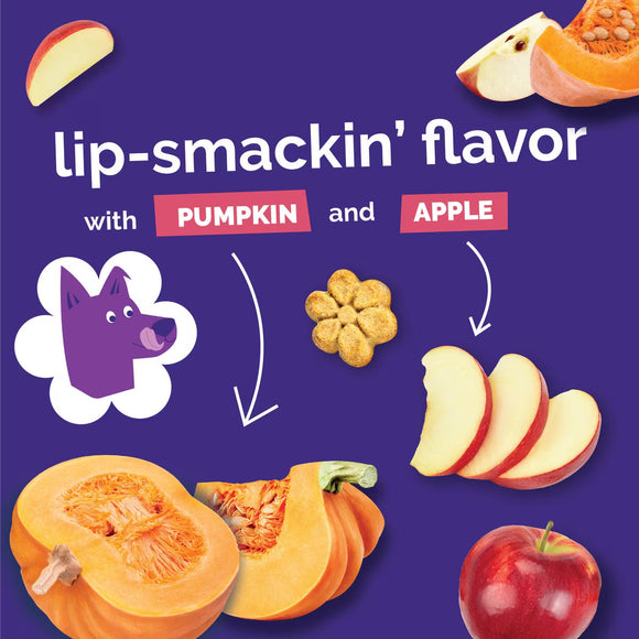 Fruitables Pumpkin & Apple Flavor Baked Dog Treats (7 oz) - Soft & Chewy Dog Treats 9