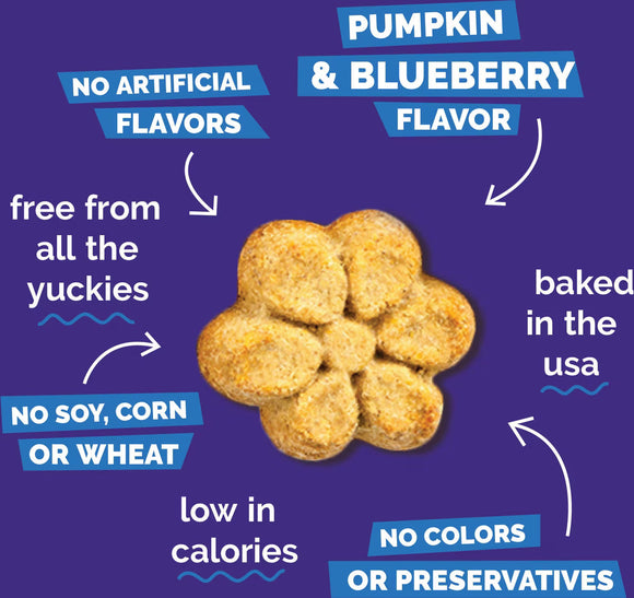 Fruitables Pumpkin & Blueberry Flavor Crunchy Dog Treats - Soft & Chewy Dog Treats 7