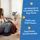 Fruitables Pumpkin & Blueberry Flavor Crunchy Dog Treats - Soft & Chewy Dog Treats 5