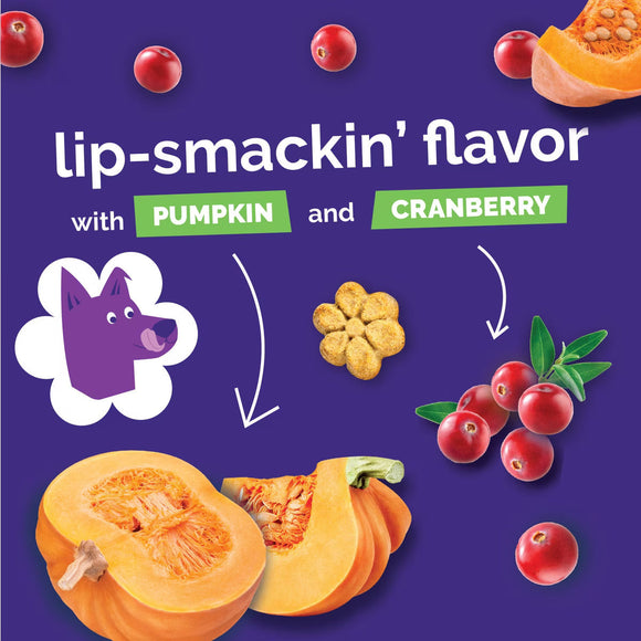 Fruitables Pumpkin & Cranberry Crunchy Dog Treats (7 oz) - Dog Treats 10