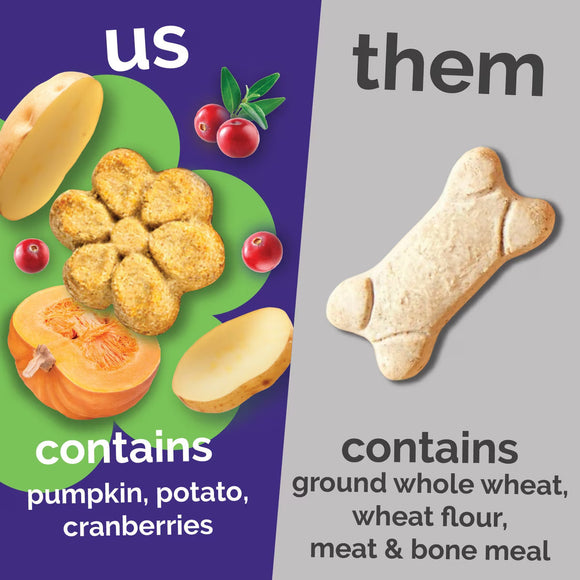 Fruitables Pumpkin & Cranberry Crunchy Dog Treats (7 oz) - Dog Treats 6