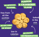Fruitables Pumpkin & Cranberry Crunchy Dog Treats (7 oz) - Dog Treats 7