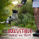 Fruitables Skinny Minis Apple Bacon Chewy Dog Treats (12 oz)