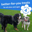 Fruitables Skinny Minis Pumpkin & Berry Flavor Dog Treats - Training Dog Treats 7