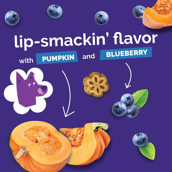 Fruitables Skinny Minis Pumpkin & Berry Flavor Dog Treats - Training Dog Treats 9