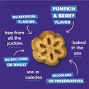 Fruitables Skinny Minis Pumpkin & Berry Flavor Dog Treats - Training Dog Treats 11