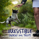 Fruitables Skinny Minis Dog Treats Pumpkin & Berry Flavor (5 oz)