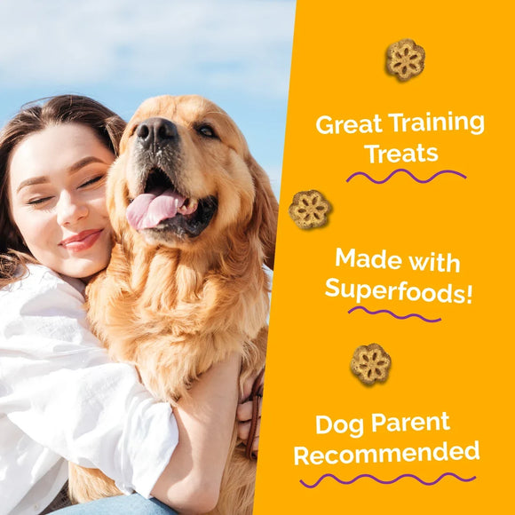 Fruitables Skinny Minis Pumpkin & Mango Flavor Dog Treats (5 oz) - Soft & Chewy Dog Treats 6