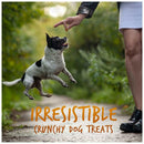 Fruitables Skinny Minis Dog Treats Pumpkin & Mango Flavor (5 oz)