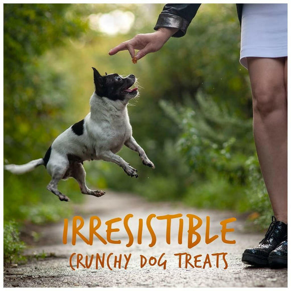 Fruitables Skinny Minis Dog Treats Pumpkin & Mango Flavor (5 oz)