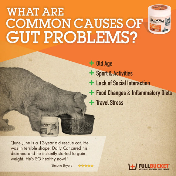 Fullbucket Daily Cat Probiotic Powder (87g 30 servings) - Cat Digestive & Probiotics Supplements 4