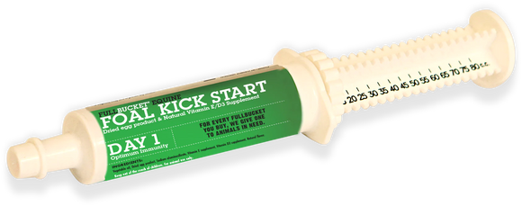 Fullbucket Foal Kick Start Paste (12 tubes) - Horse Vitamins & Supplements 2