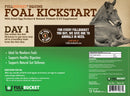 Fullbucket Foal Kick Start Paste (single tube) - Horse Vitamins & Supplements 2