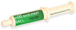 Fullbucket Foal Kick Start Paste (single tube) - Horse Vitamins & Supplements 1