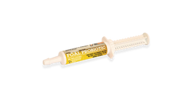 Fullbucket Foal Probiotic Paste (single tube) - Horse Vitamins & Supplements 1