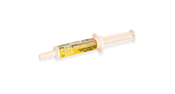 Fullbucket Foal Probiotic Paste (single tube) - Horse Vitamins & Supplements 1