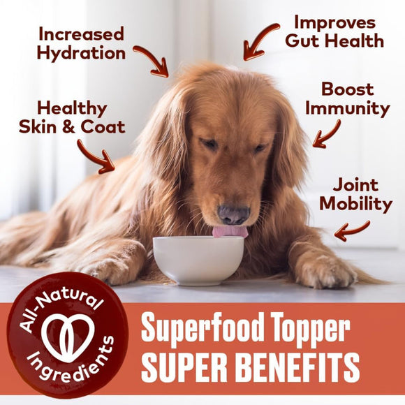 Furvor Beef Bone Broth Concentrate for Dogs
